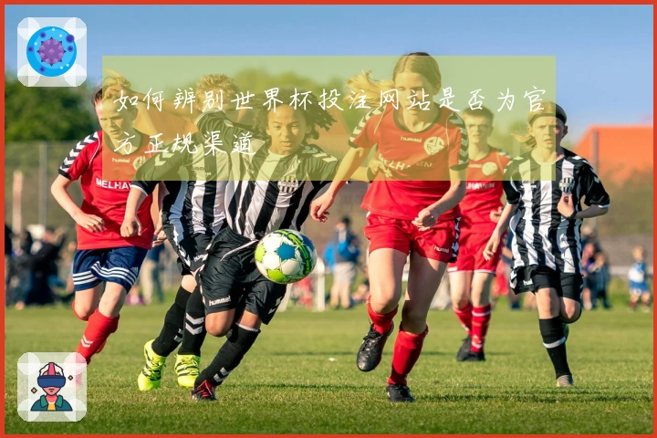 如何辨别世界杯投注网站是否为官方正规渠道