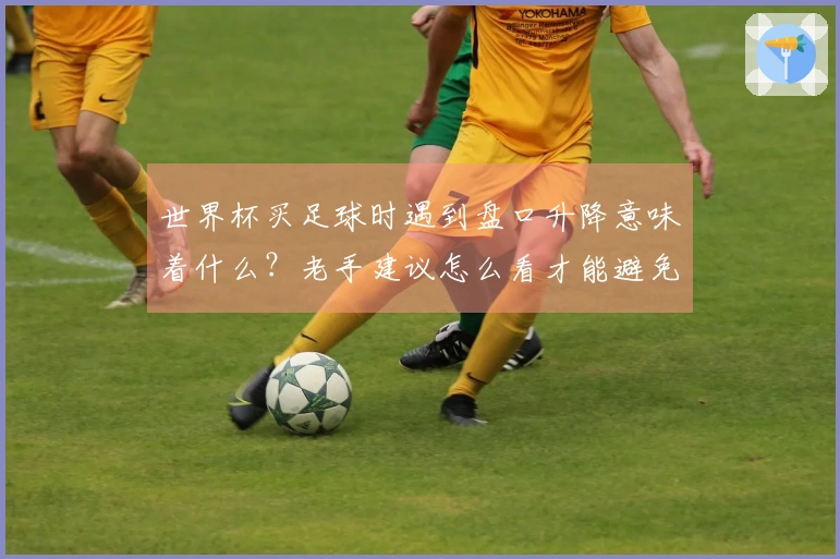 世界杯买足球时遇到盘口升降意味着什么？老手建议怎么看才能避免被坑